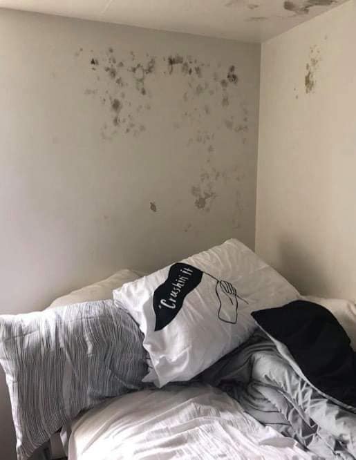 8th Fighter Wing Addresses Concerns about Mold, Mildew in Kunsan Dorms