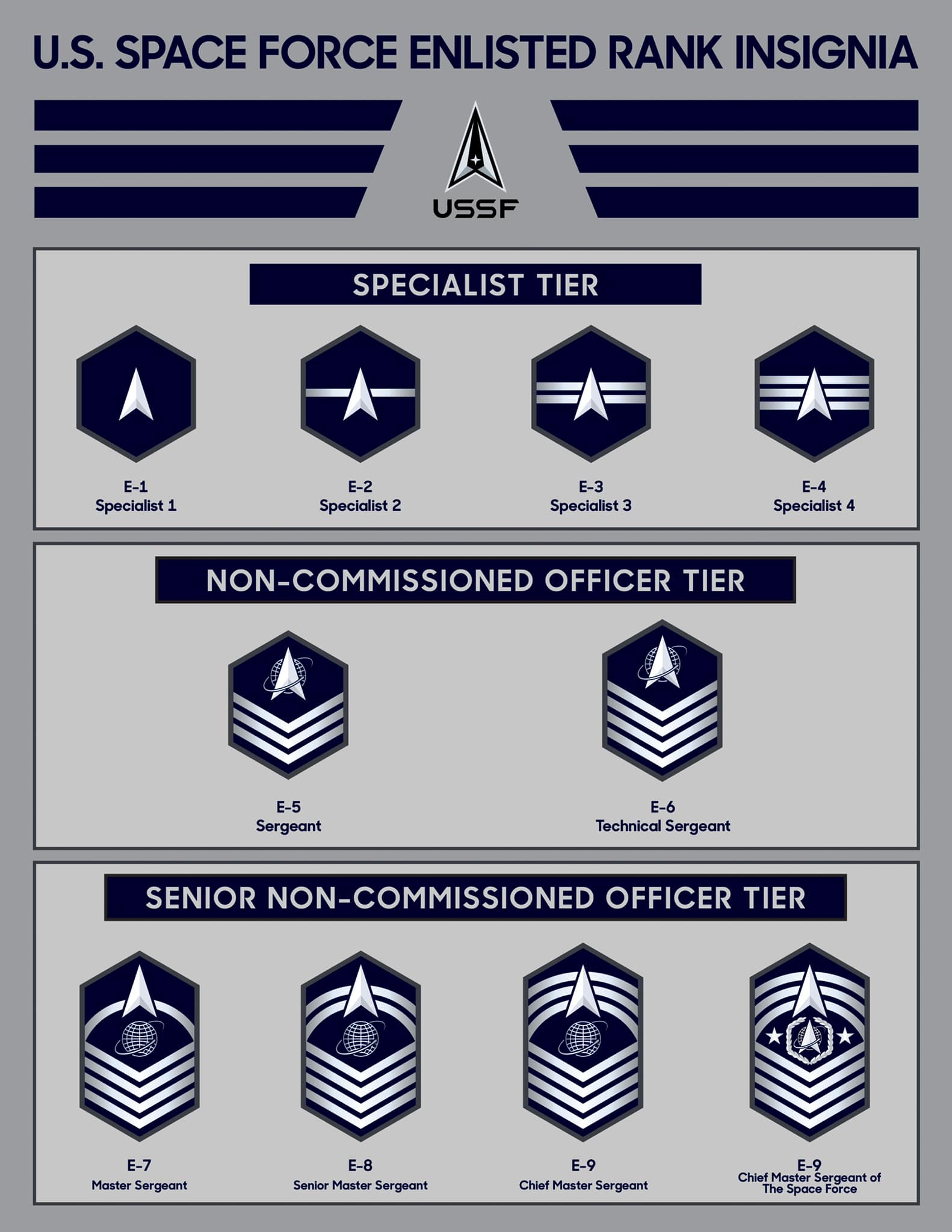 Space Force Reveals Insignia For Enlisted Ranks Air Space Forces 