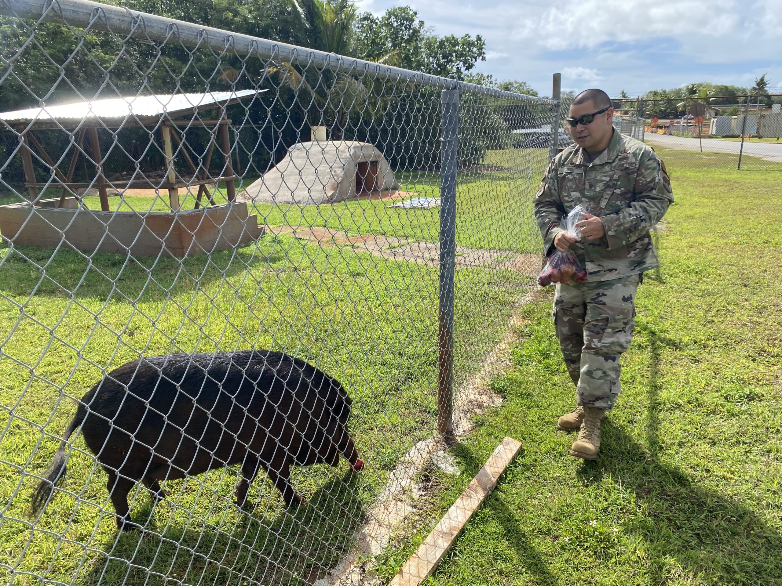 Air Force Mascot ‘Shakey’ Is a Guam Mainstay