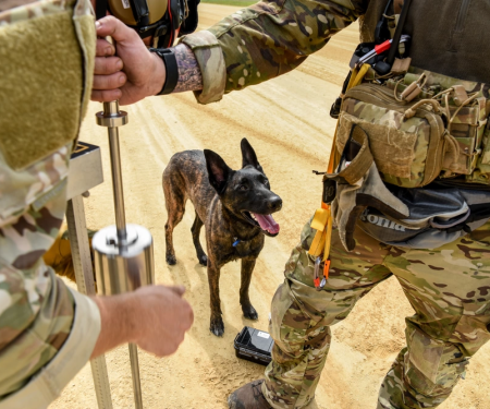 air force dog