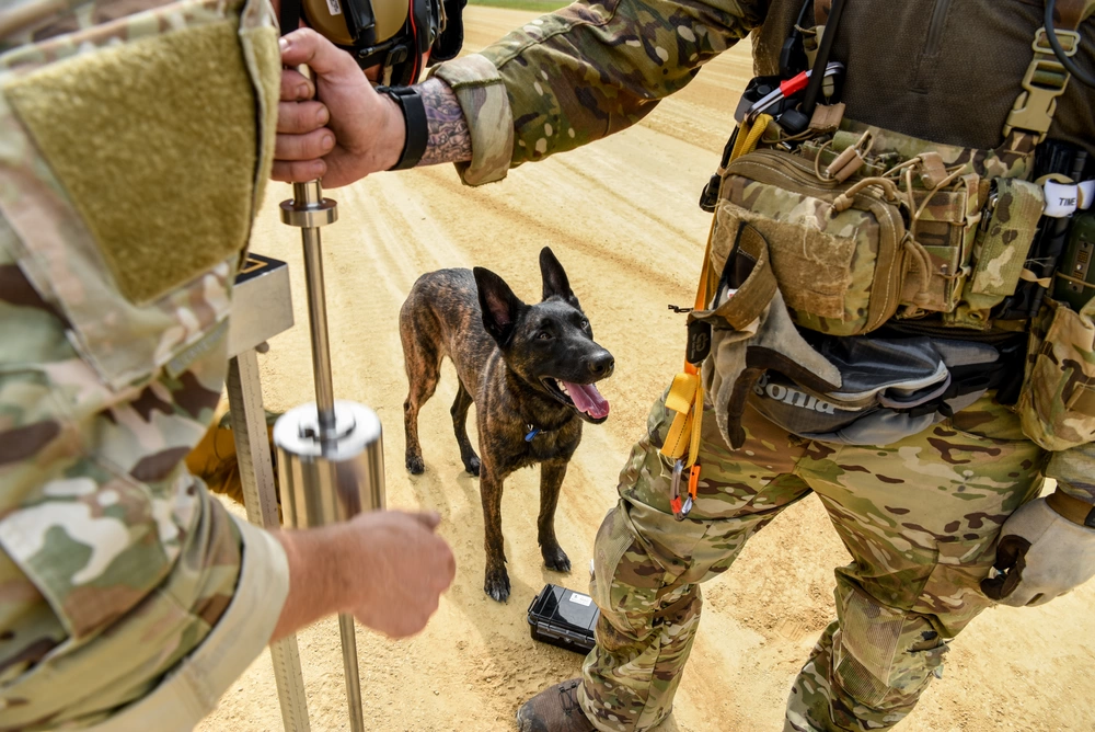 One-and-Only Air Force PJ Dog Prepares to Wrap Historic Career