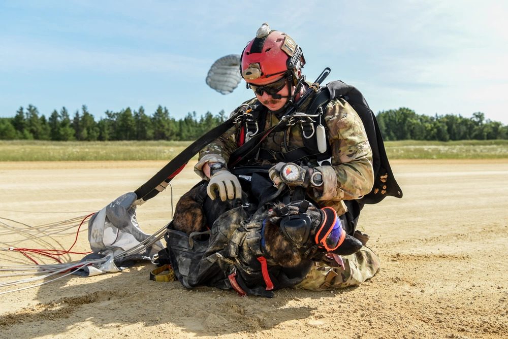 air force dog